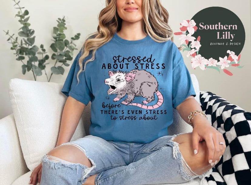 Stressed About Stress Opossum Gildan T-Shirt