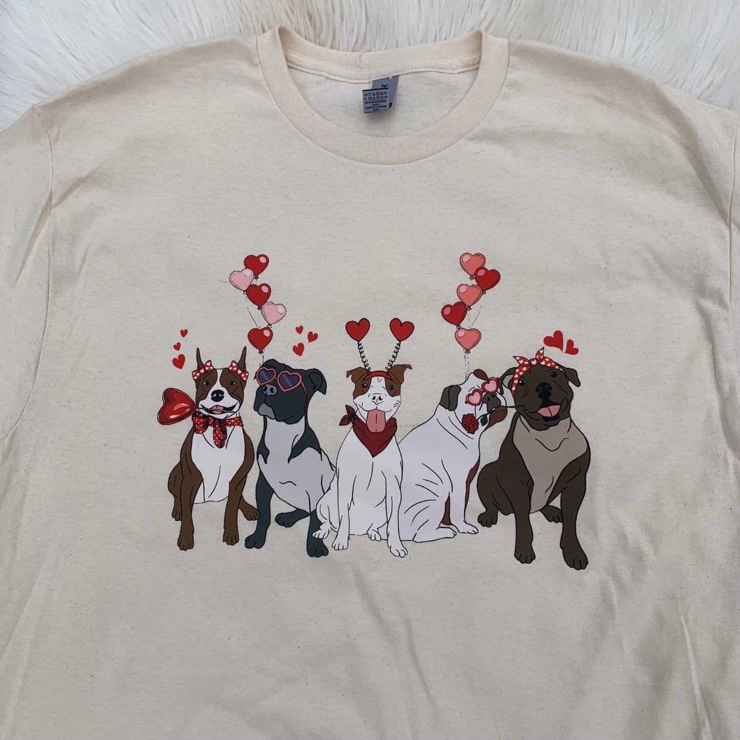 Pittie Mix Valentines Comfort Colors T-Shirt