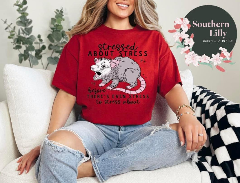 Stressed About Stress Opossum Gildan T-Shirt